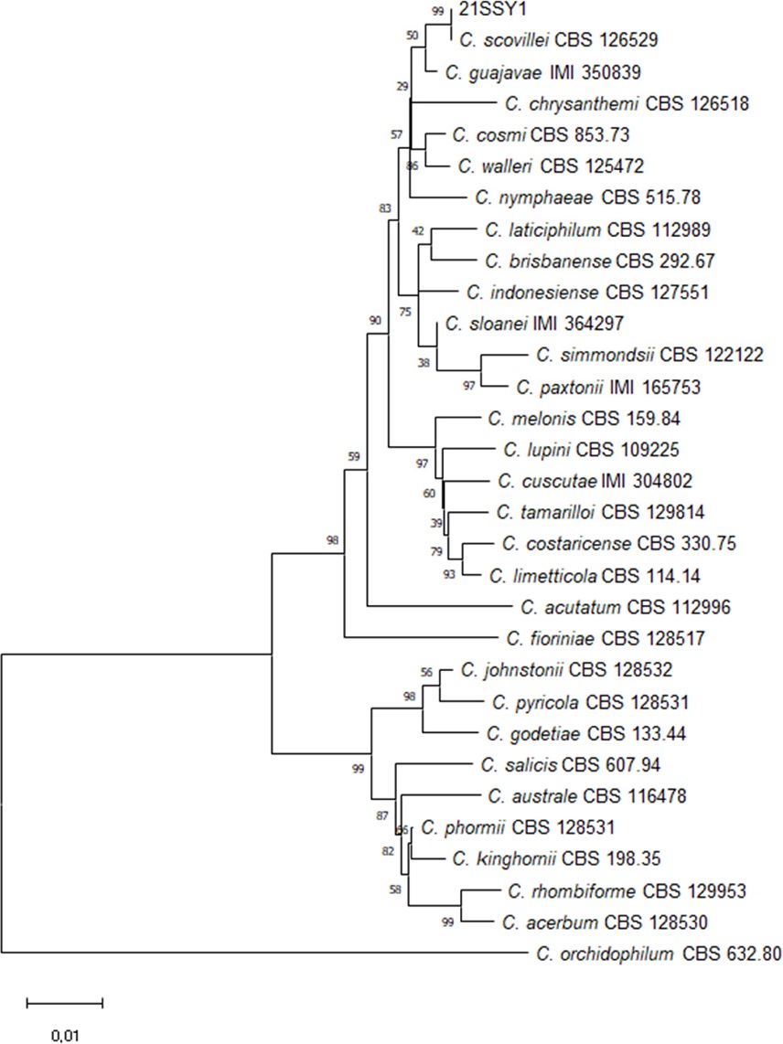 Fig. 1.