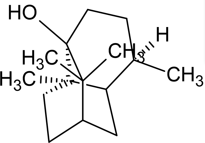 Fig.7