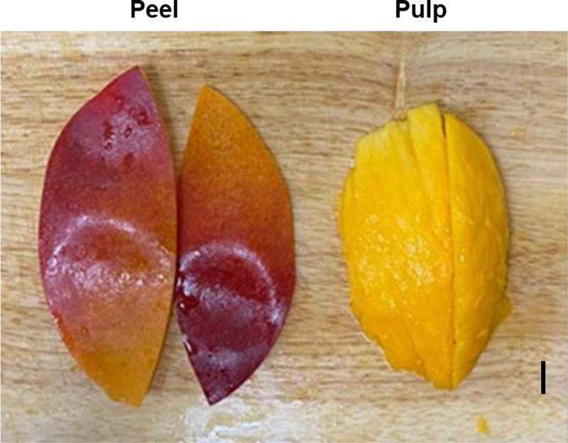 Fig. 3.
