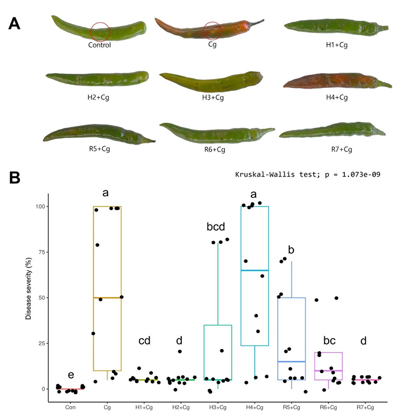 Fig. 4.