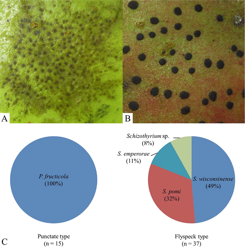 Fig. 1. Fig. 1.